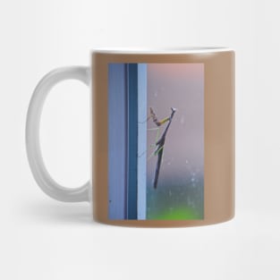 Mantis on a Window - Remix Mug